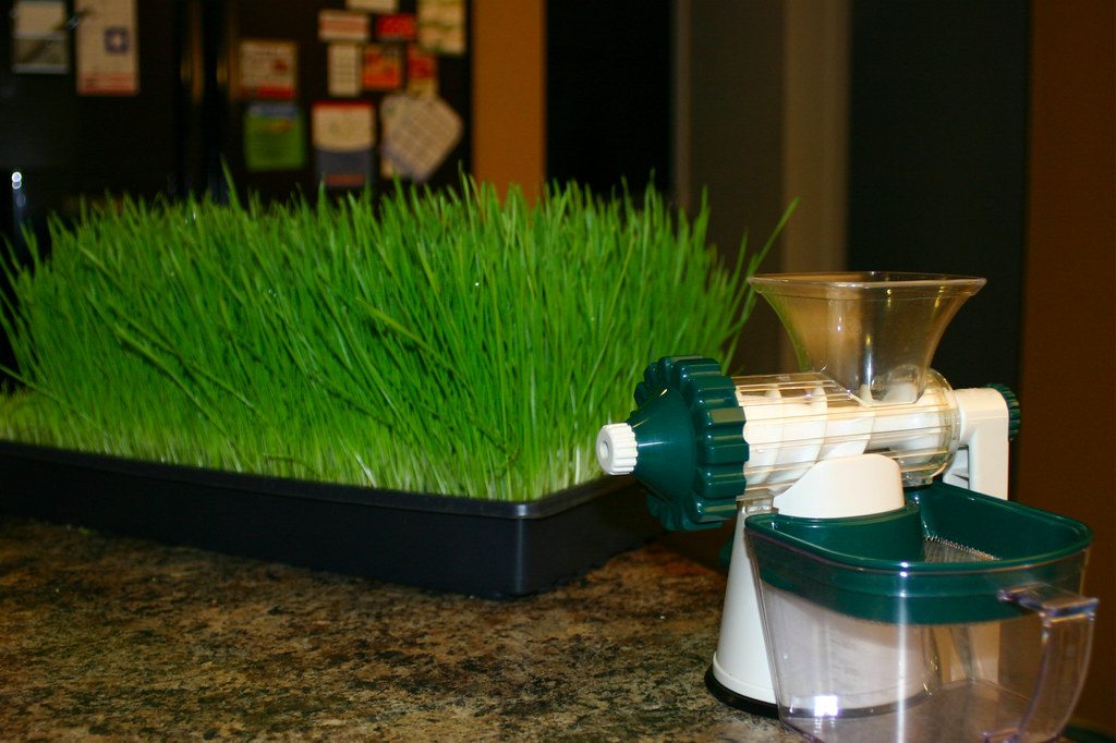 A juicer beside a tray of wheatgrass