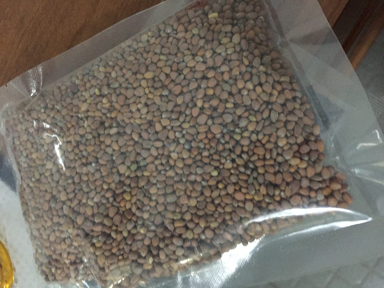 Microgreen seeds in a small container