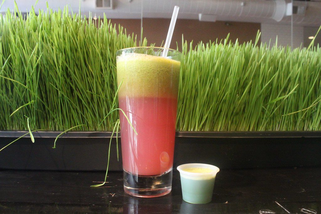 A small glass of green wheatgrass juice