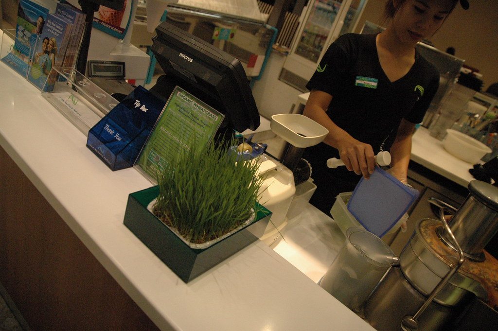 A serving of freshly pressed wheatgrass juice