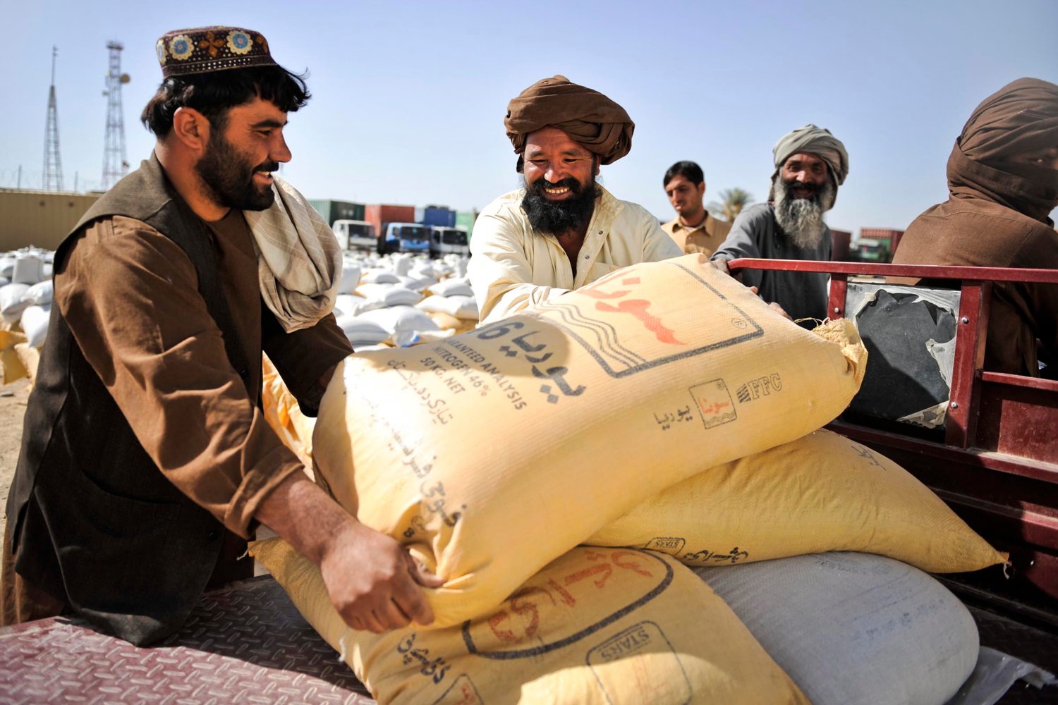 Farmers holding a quantity of wheat seed