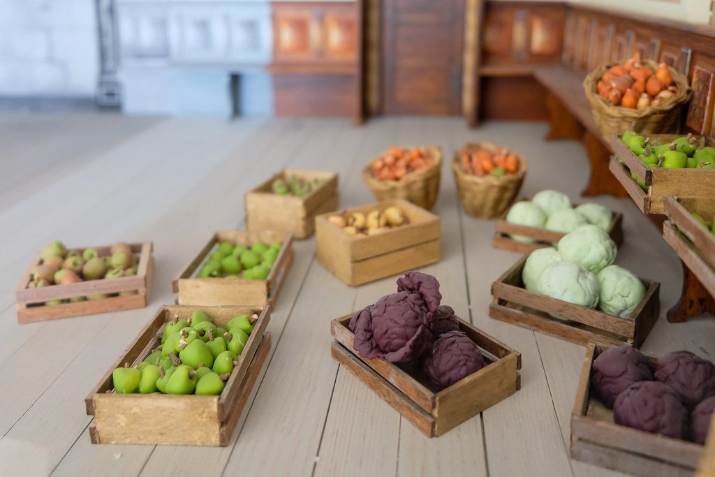 Fresh vegetables arranged in a cool storage space