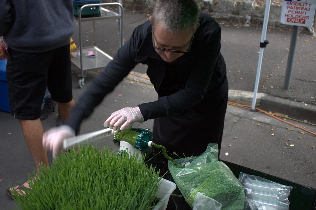 Fresh wheatgrass being prepared for juicing